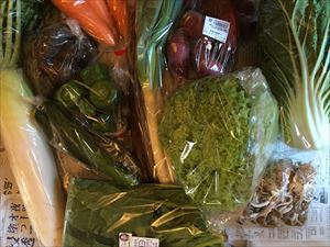 ふるさと納税　千葉県芝山町　旬野菜の詰め合わせセット
