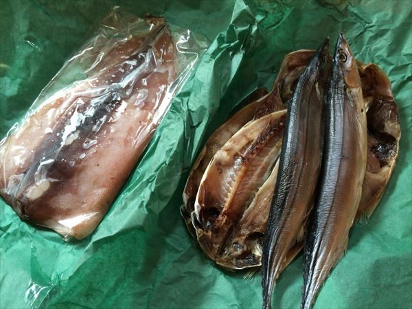 静岡県下田市　魚とイカの干物セット